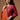 Karwa Chauth Special