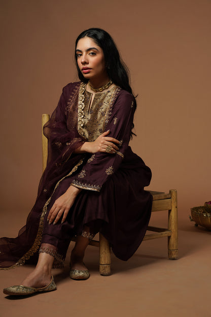 Wine Kalidar Kurta With Embroidered Velvet Yoke And Sleeves