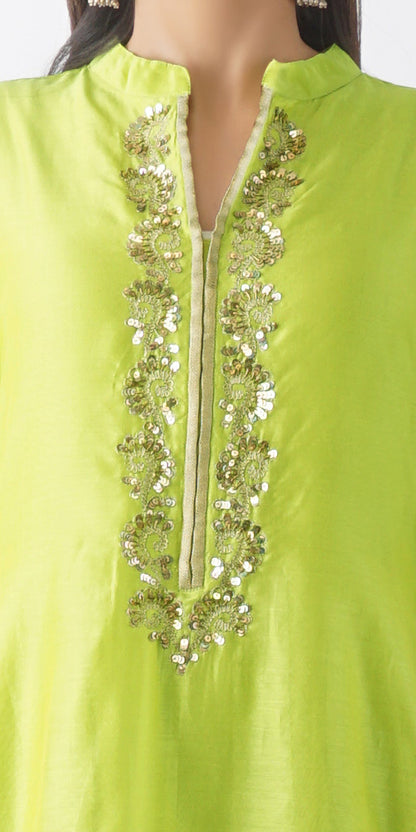 Aakash Light Green Neck Embroidered Layered Kurta