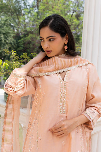 Peach Buti Embroidered Panelled Kurta Set