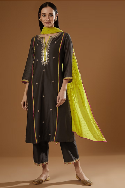 Brown Mirror Embroidered Centre Panel Kurta Set